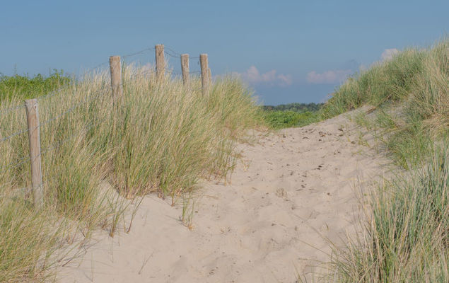 Carnac View - Photo 8