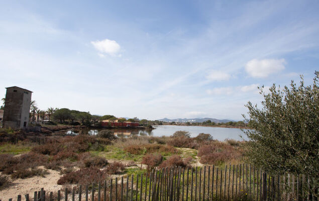 Port de La Gavine - Photo 22