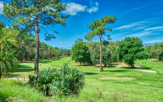 Marina de Talaris - Photo 19